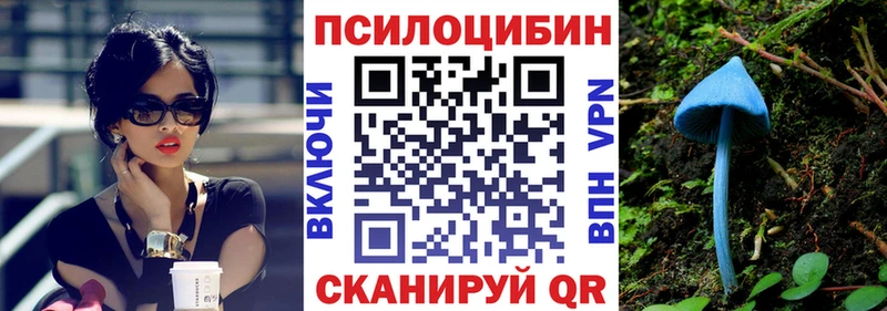 Псилоцибиновые грибы Psilocybine cubensis  Пласт 
